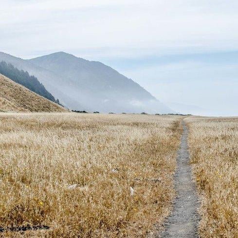 What We Learned While Keto Backpacking on the Lost Coast - Next Mile Meals